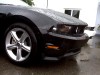 Mustang2010_001.jpg