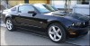 Mustang2010_008.jpg