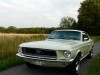 68er Mustang von Calibra