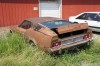 mustangcarrol_061.jpg